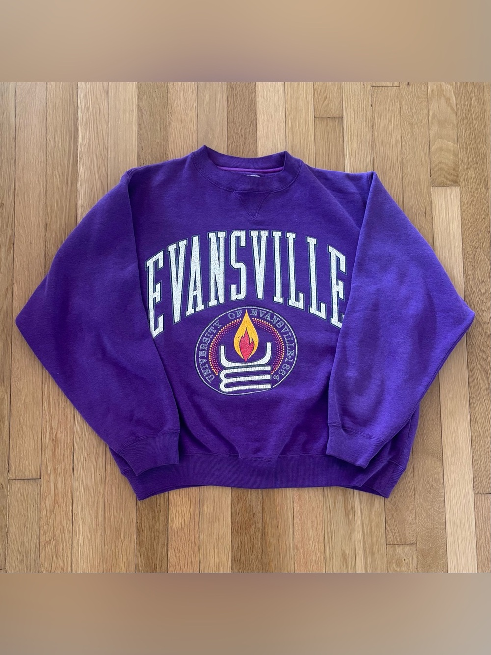 Vintage University Of Evansville Crewneck 90s Sweatshirt Galt Sand L Purple